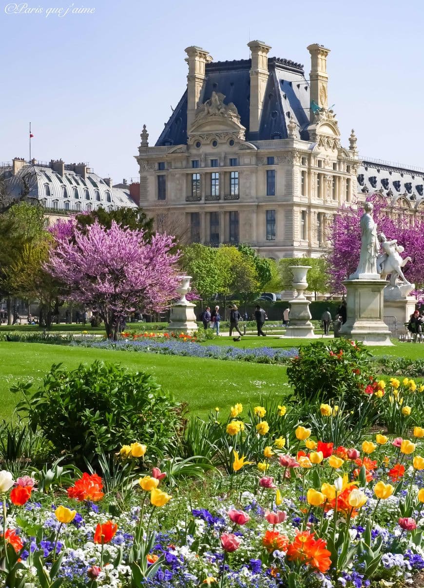 Place Jardin des Tuileries