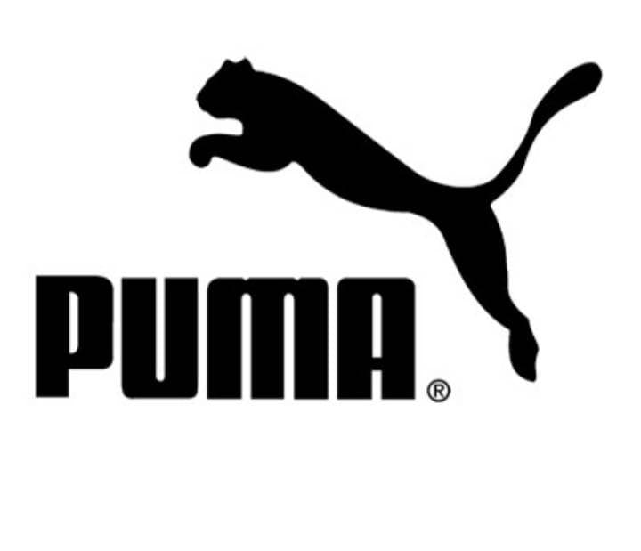 Fashion Puma