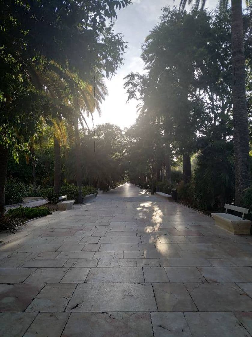 Lugar Paseo del Parque