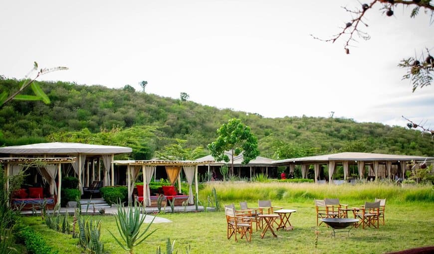 Place Zebra Plains Mara Camp