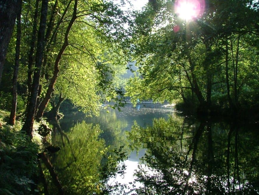 Place Parque de Campismo São Gião