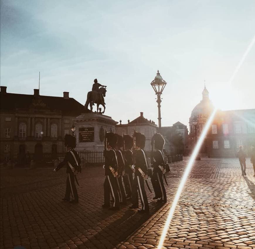 Place Palacio de Amalienborg