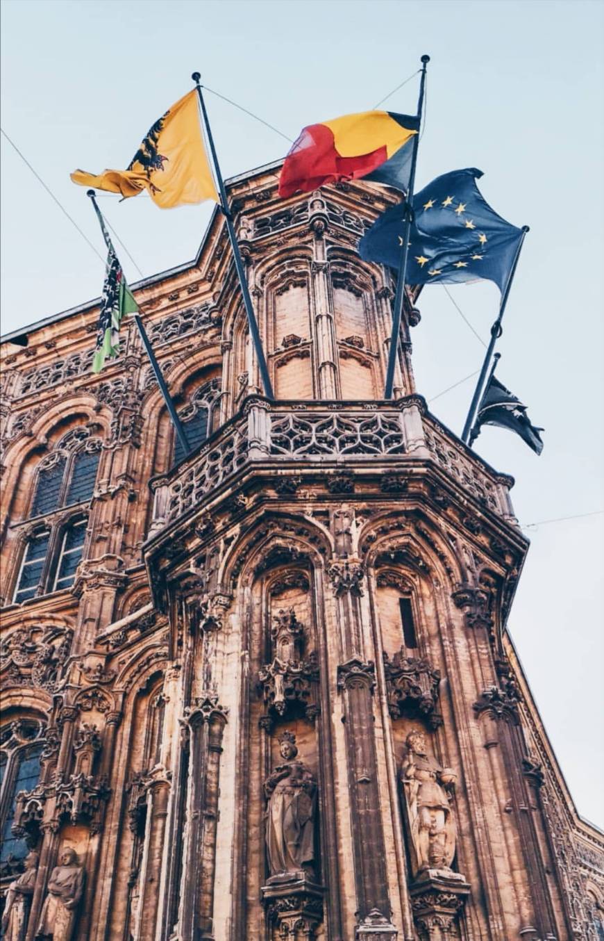 Place Ayuntamiento de Gante