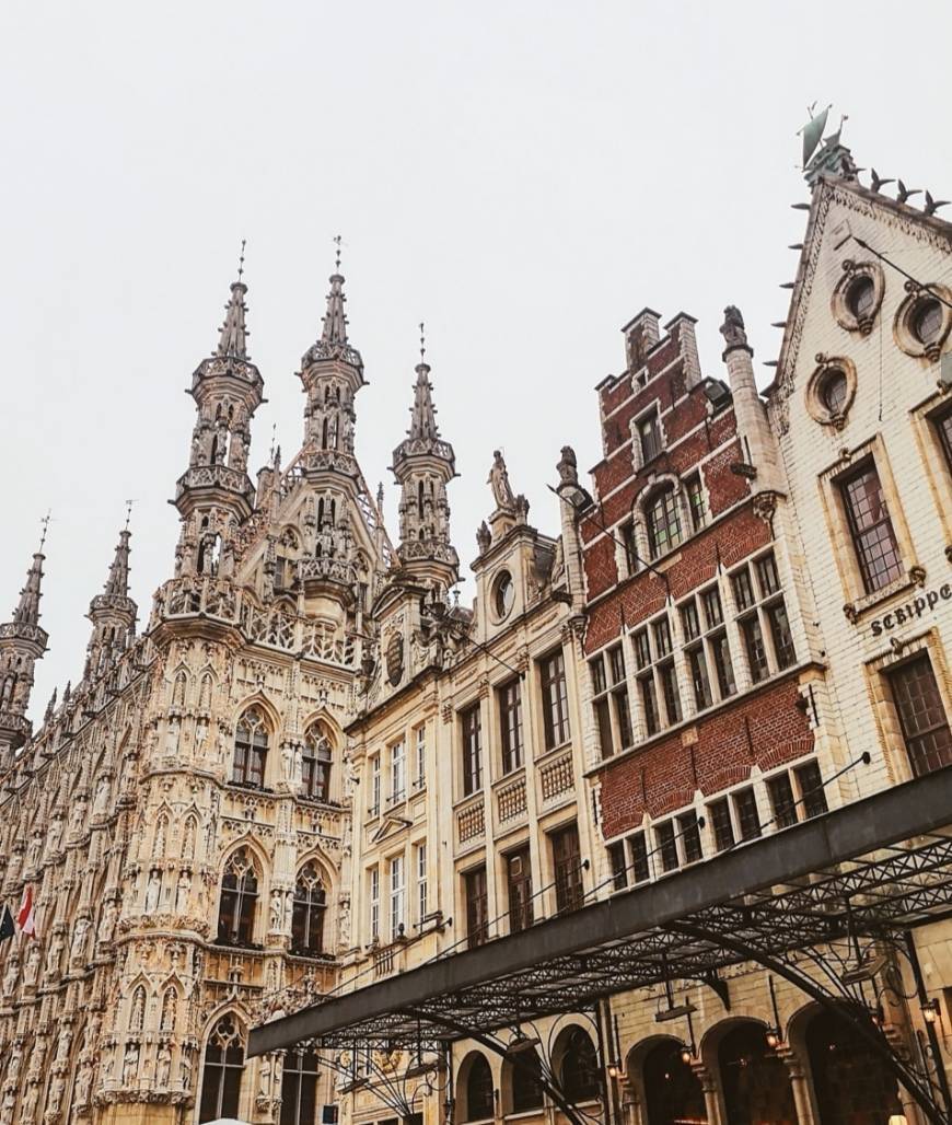 Place Historical Leuven Town hall