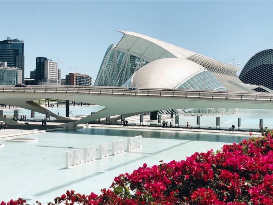 Lugar Palau de les Arts Reina Sofía (Opera Valencia)