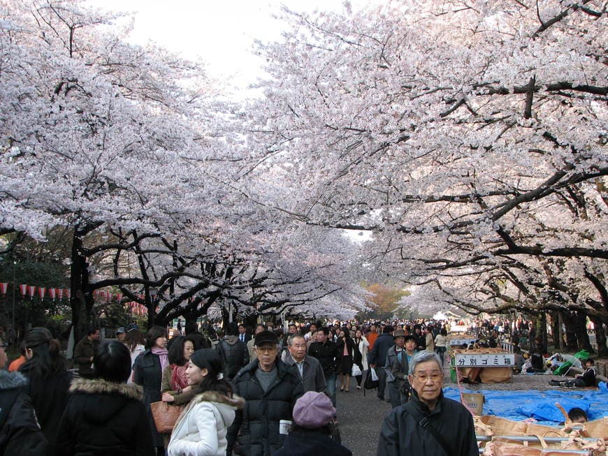 Lugar Ueno-Park