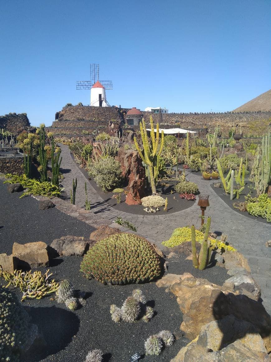 Place Jardín de Cactus de Lanzarote