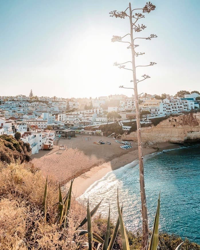 Place Carvoeiro