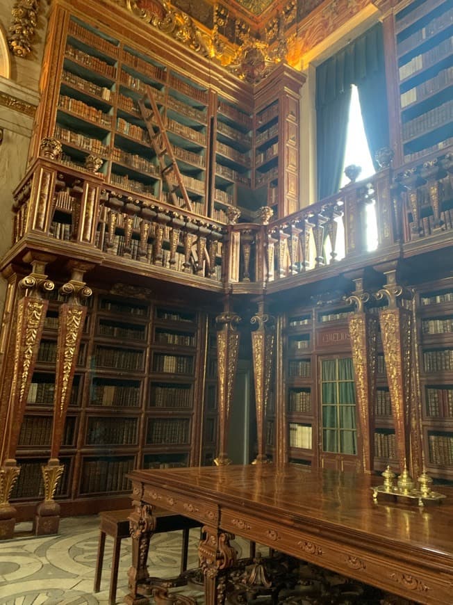 Place Biblioteca Joanina