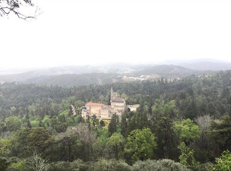 Place Mata Nacional do Buçaco