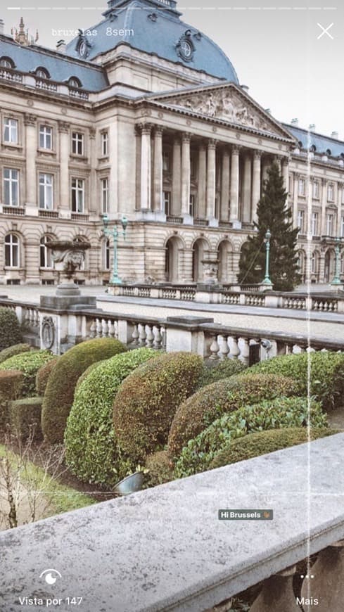 Lugar Palacio Real de Bruselas