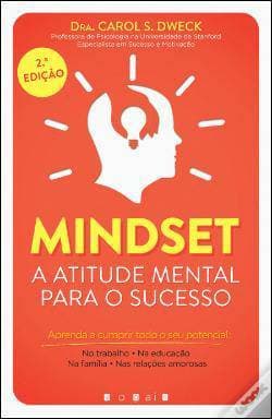 Book Mindset