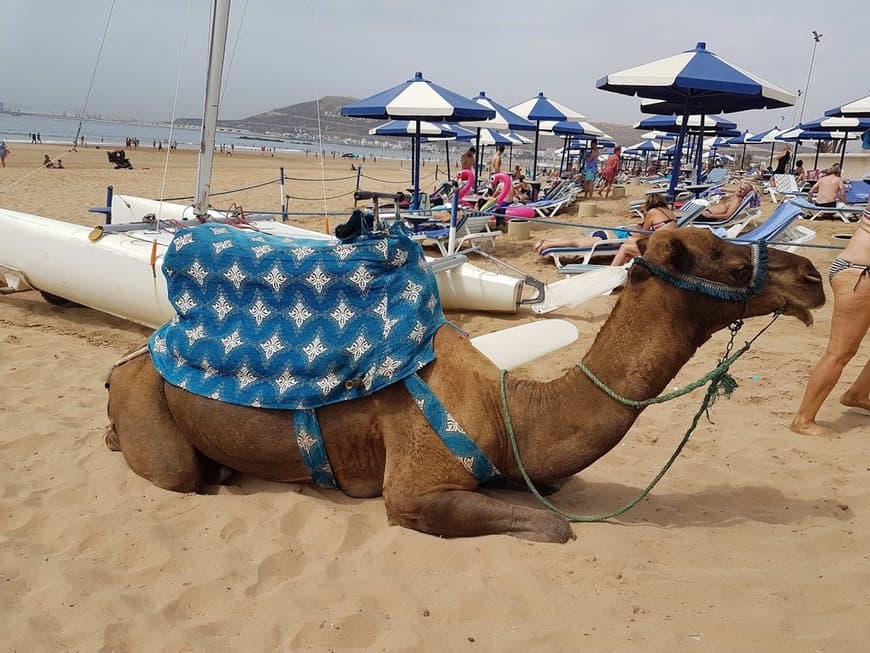 Place Plage d'Agadir