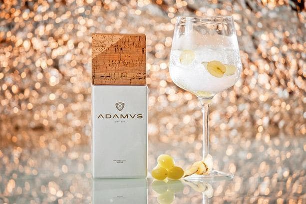 Producto Adamus Gin