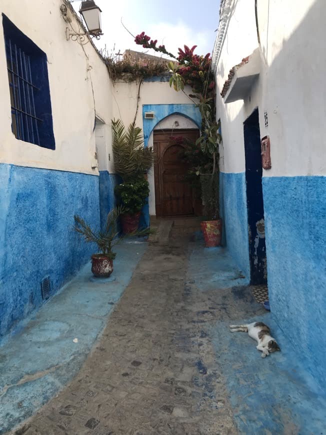 Lugar Kasbah des Oudayas