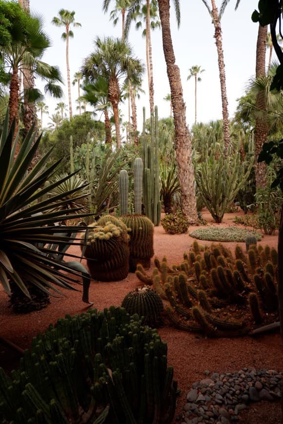 Lugar Jardín Majorelle