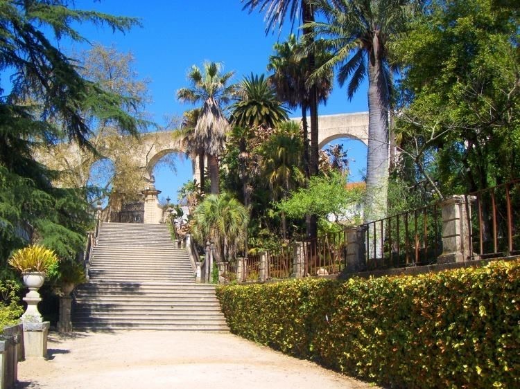 Lugar Jardim Botânico da Universidade de Coimbra