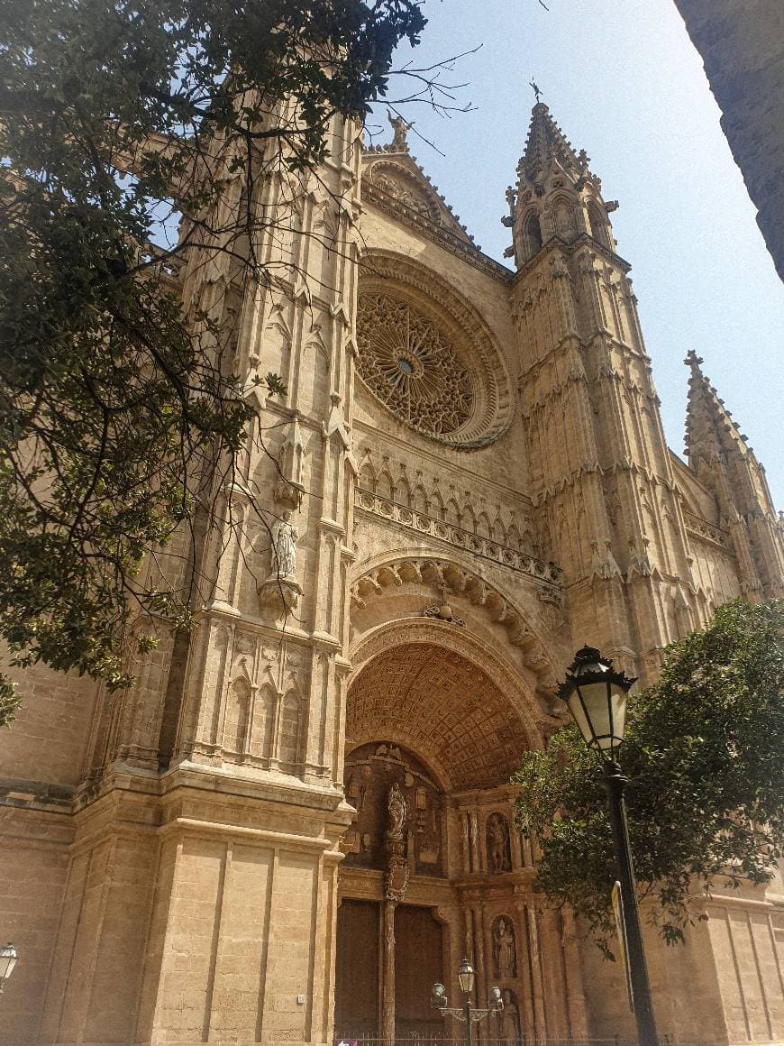 Place Catedral-Basílica de Santa María de Mallorca