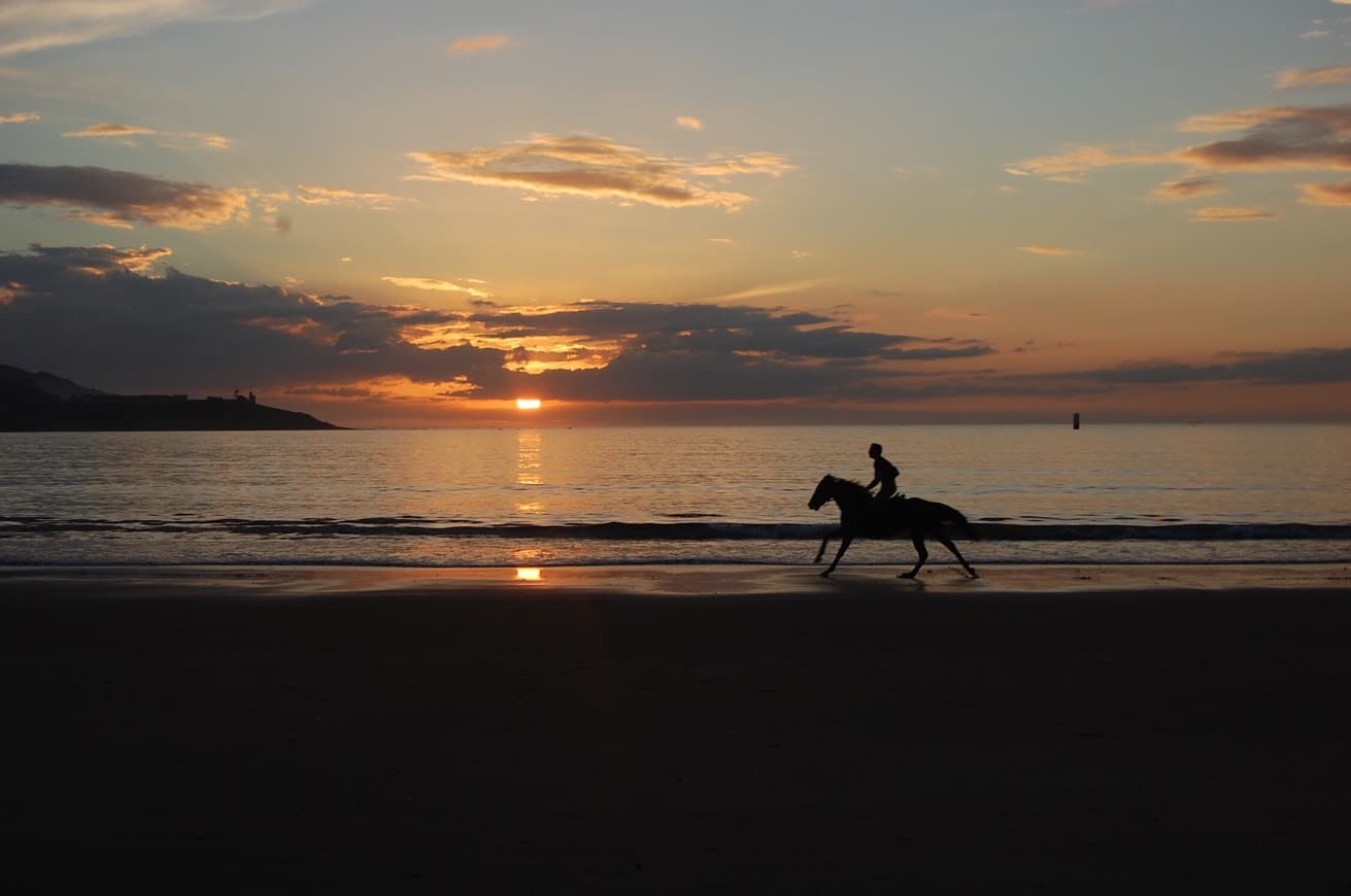 Place Praia América