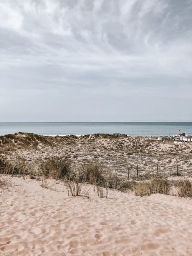 Place Parque Natural de las Dunas de Liencres