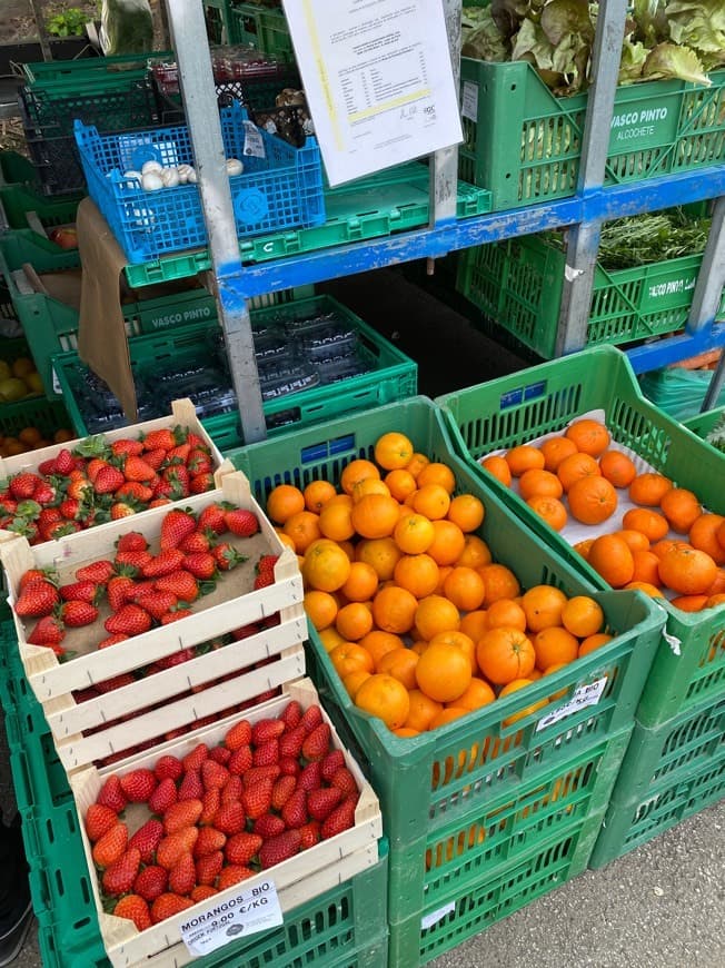 Lugar Mercado Biológico do Príncipe Real