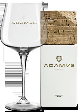 Moda Adamvs Gin 