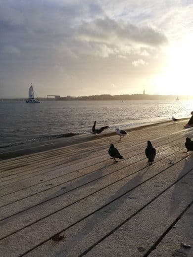 Lugar Ribeira das Naus