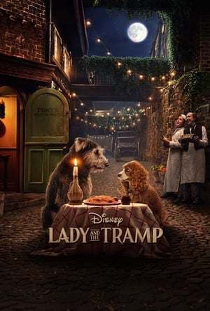 Movie Lady and the Tramp