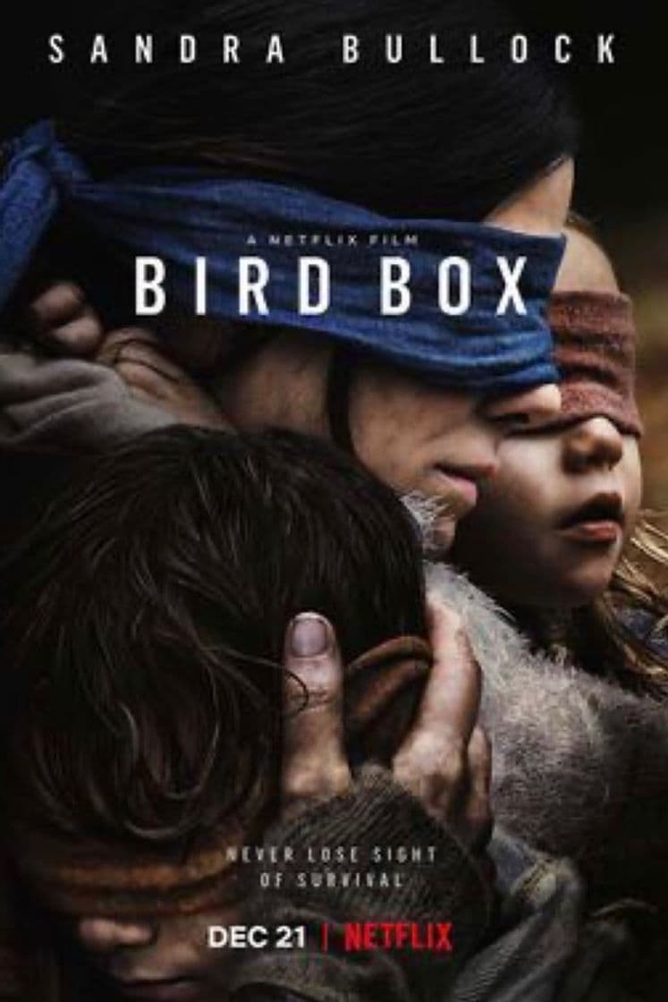 Película Bird Box