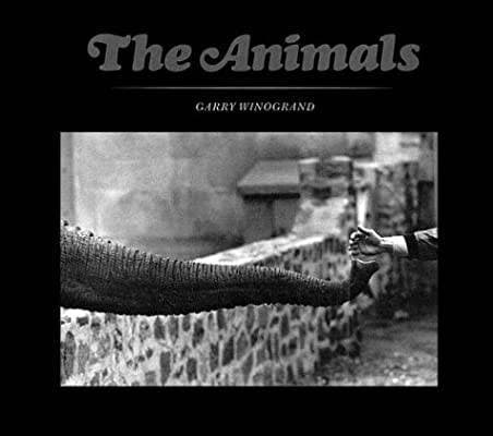 Libro The Animals