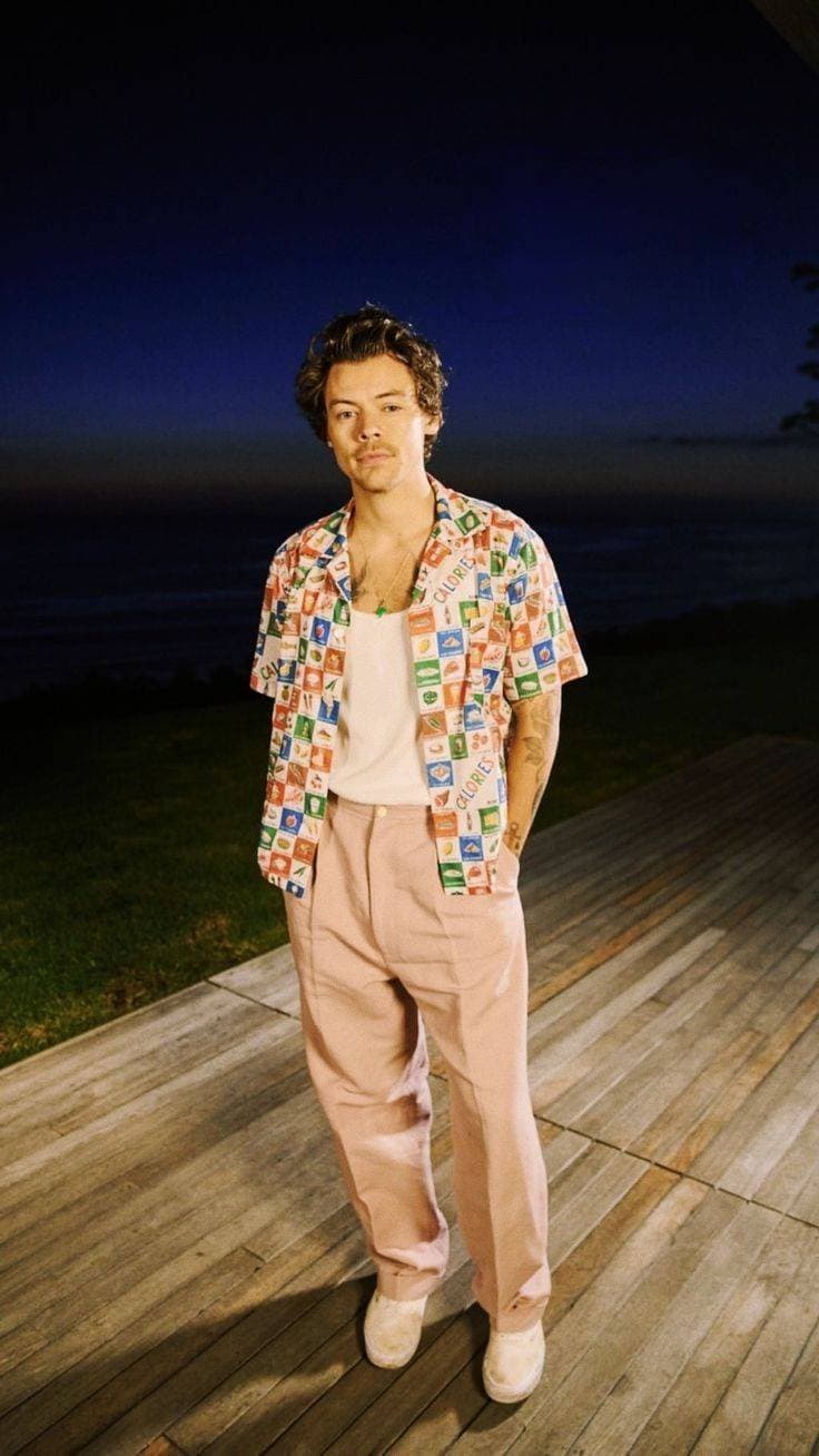 Moda harry styles 