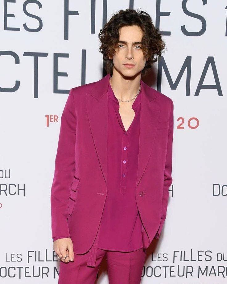 Moda timothée chalamet 