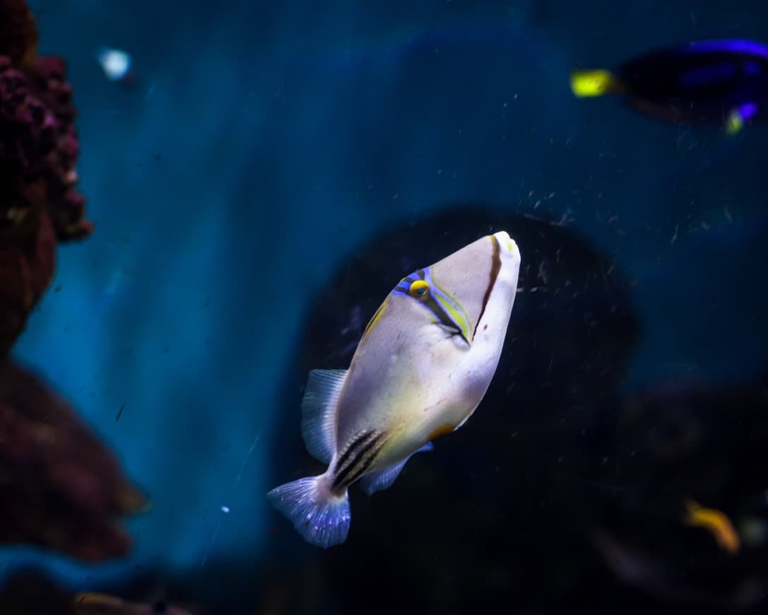 Lugar Aquarium de Barcelona Barcelona