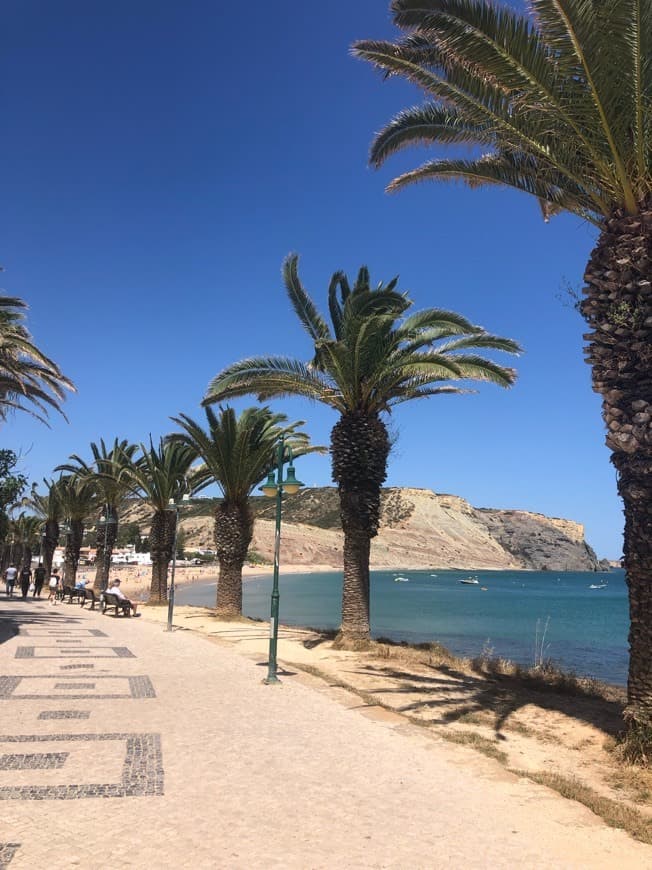 Lugar Praia da Luz