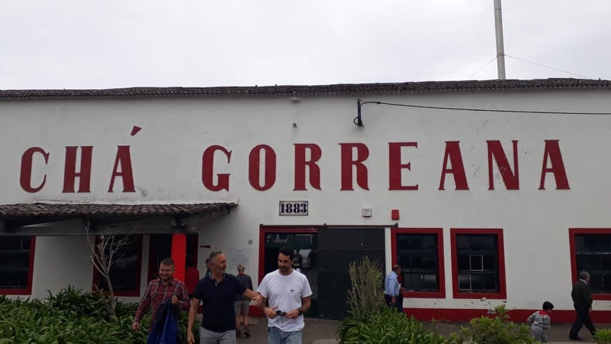 Lugar Chá Gorreana