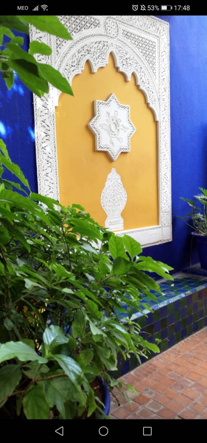 Place Jardín Majorelle