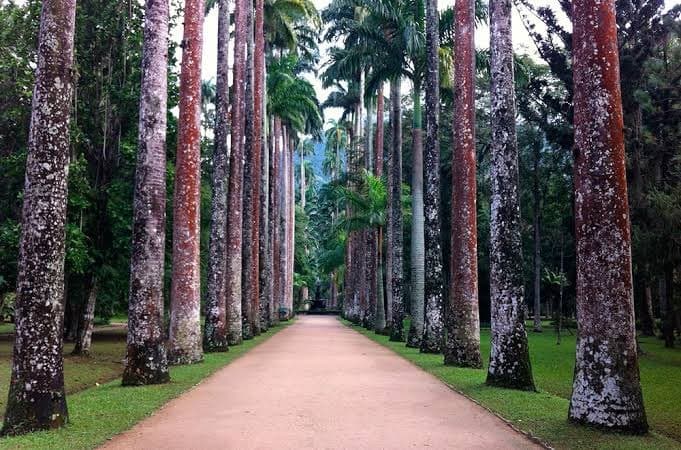 Place Jardim Botânico