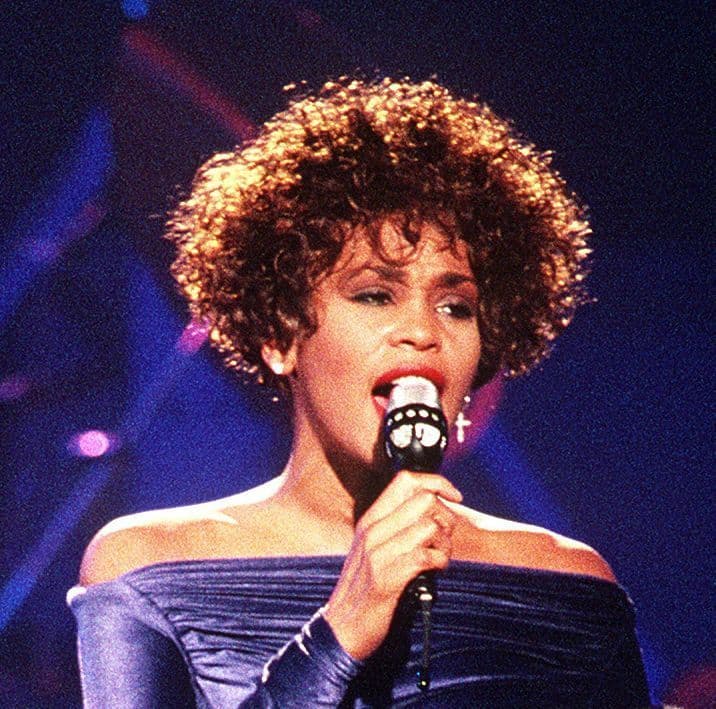 Moda A biografia de Whitney Houston 