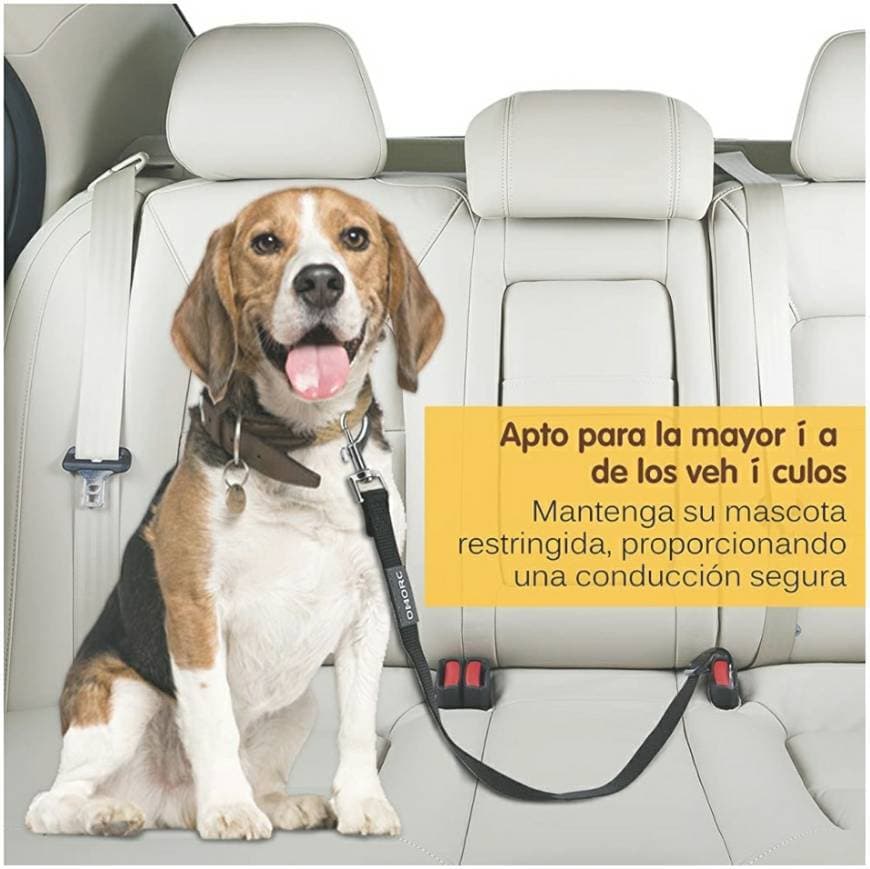 Producto Cinto de segurança para animais