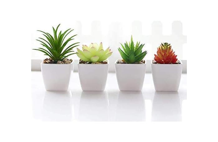 Product Plantas artificiais