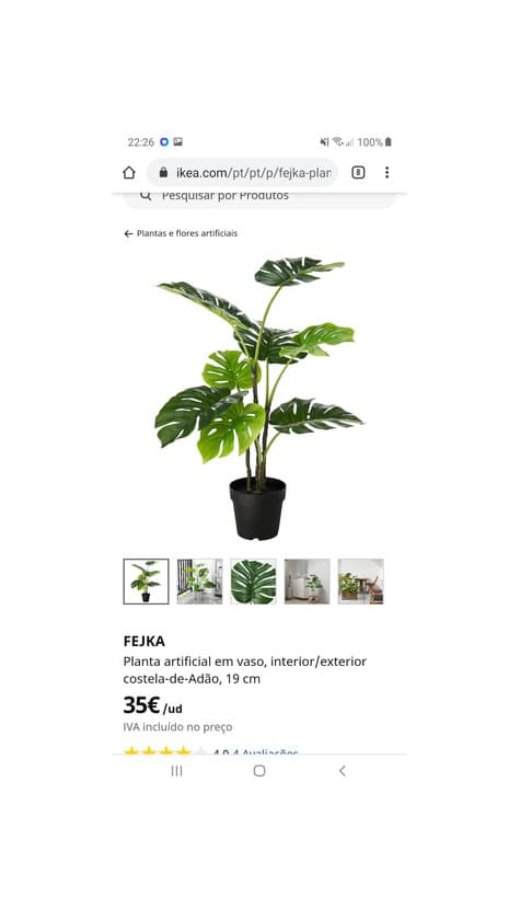 Producto Planta