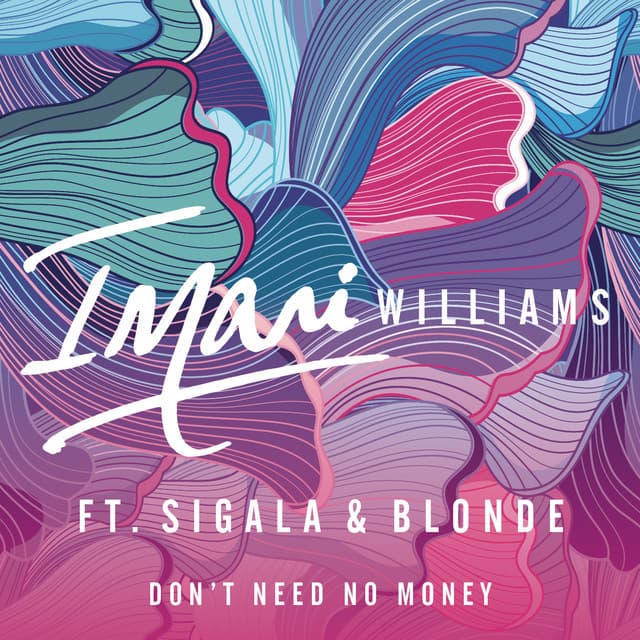 Canción Don't Need No Money (feat. Sigala & Blonde)