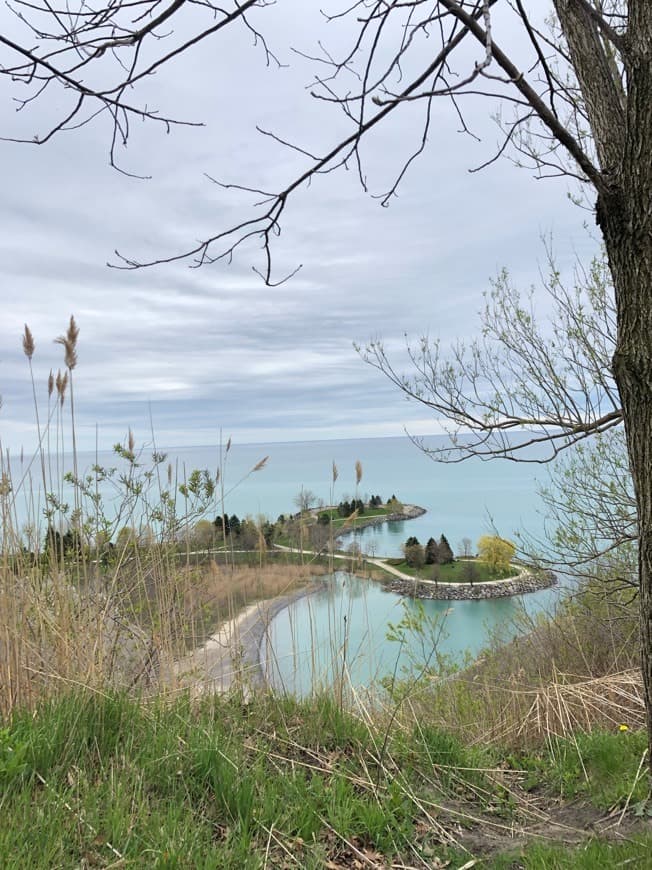 Place Bluffers Park