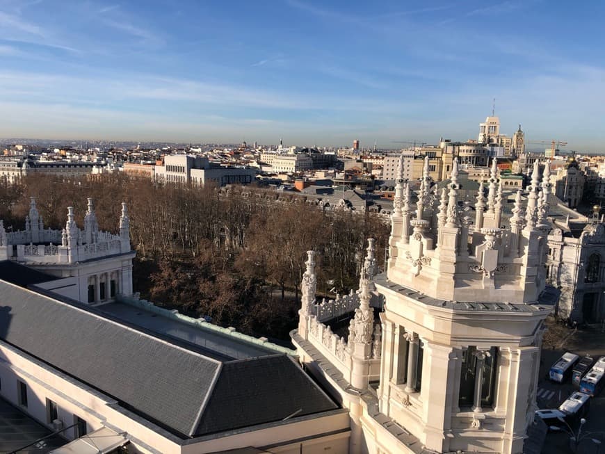 Place Palacio de Linares