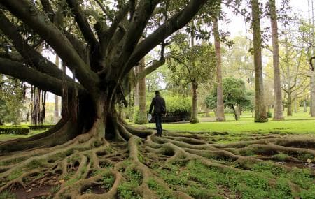 Lugar Jardín Botánico de la Universidad de Lisboa