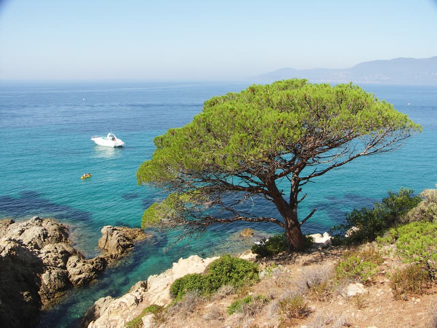 Place Sainte-Maxime