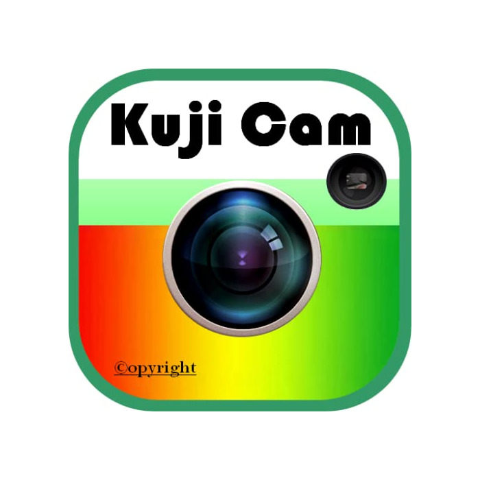 Electronic huji cam