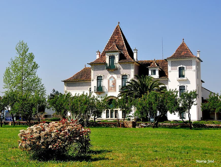 Lugar Casa-Museu Egas Moniz