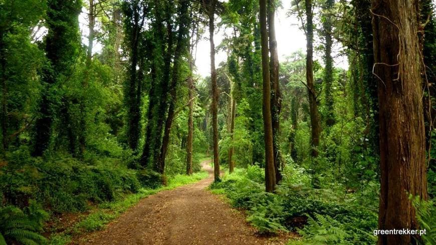 Lugar Sintra Mountains