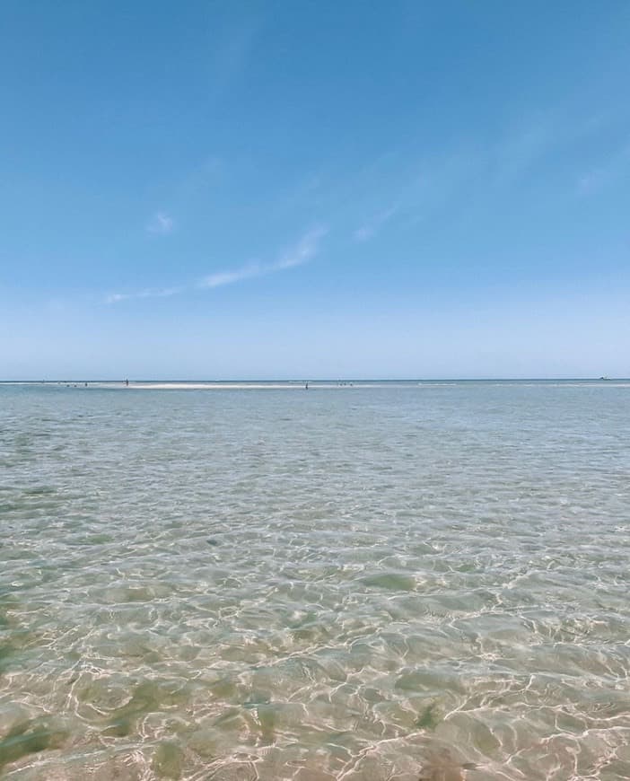 Place Praia da Ilha da Armona Mar